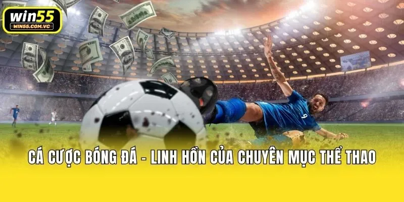 Cá cược bóng đá - Linh hồn của chuyên mục Thể thao