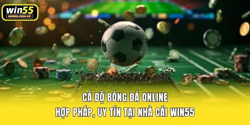 Cá Độ Bóng Đá Online Hợp Pháp, Uy Tín Tại Nhà Cái Win55