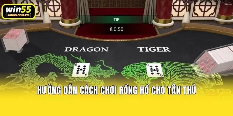 Hướng dẫn cách chơi rồng hổ cho tân thủ
