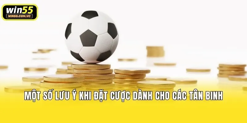 Một số lưu ý khi đặt cược dành cho các tân binh