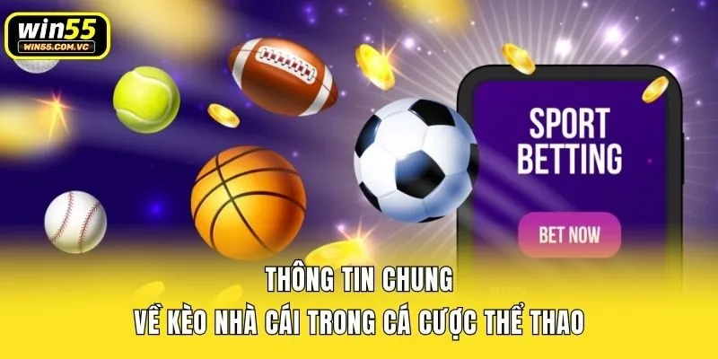 Thông tin chung về kèo nhà cái trong cá cược thể thao