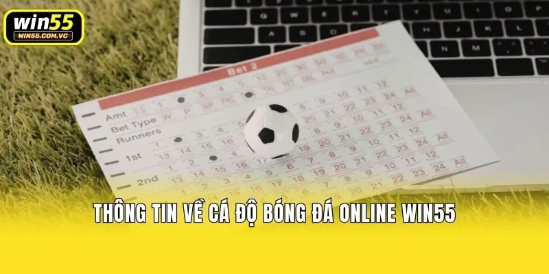 Thông tin về cá độ bóng đá online Win55